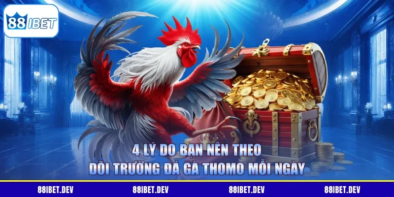 4 Lý Do Bạn Nên Theo Dõi Trường Đá Gà Thomo Mỗi Ngày