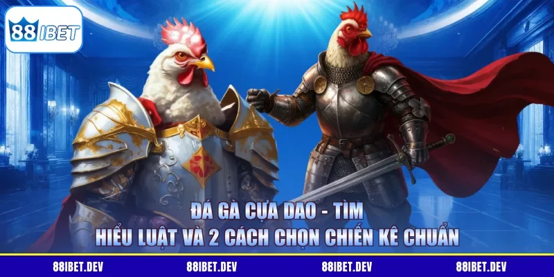 Đá Gà Cựa Dao - Tìm Hiểu Luật Và 2 Cách Chọn Chiến Kê Chuẩn